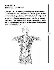 Get rid of trigger points. Ready-made exercise programs for eliminating pain in the spine, joints, and muscles.